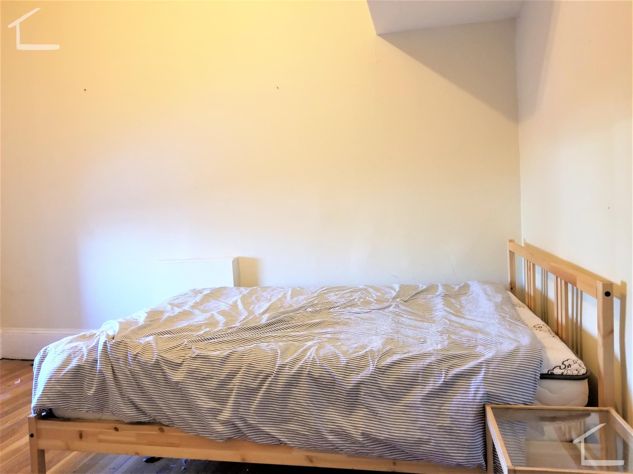 41 Bay State Rd, Fenway