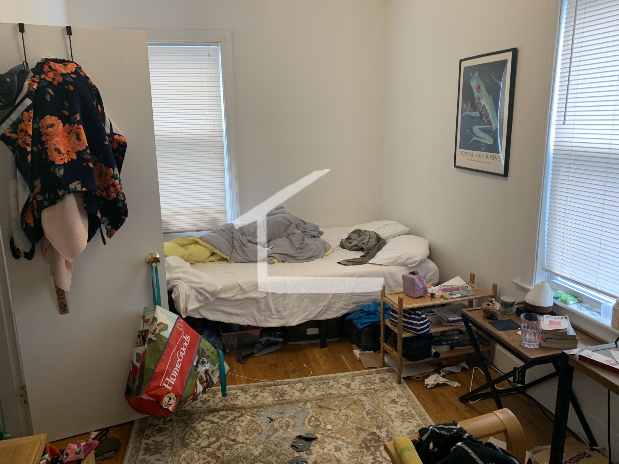 530 Cambridge St, Brighton