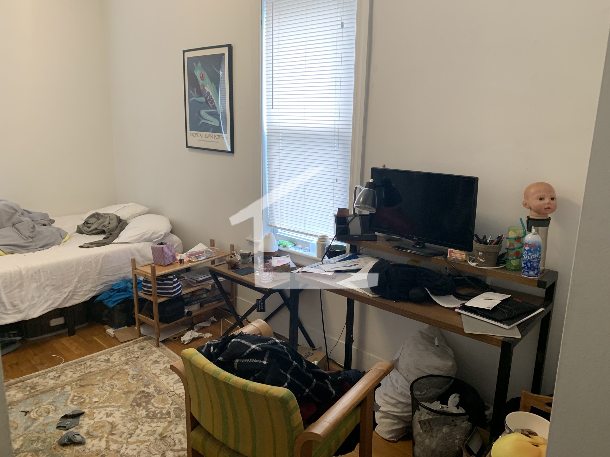 530 Cambridge St, Brighton