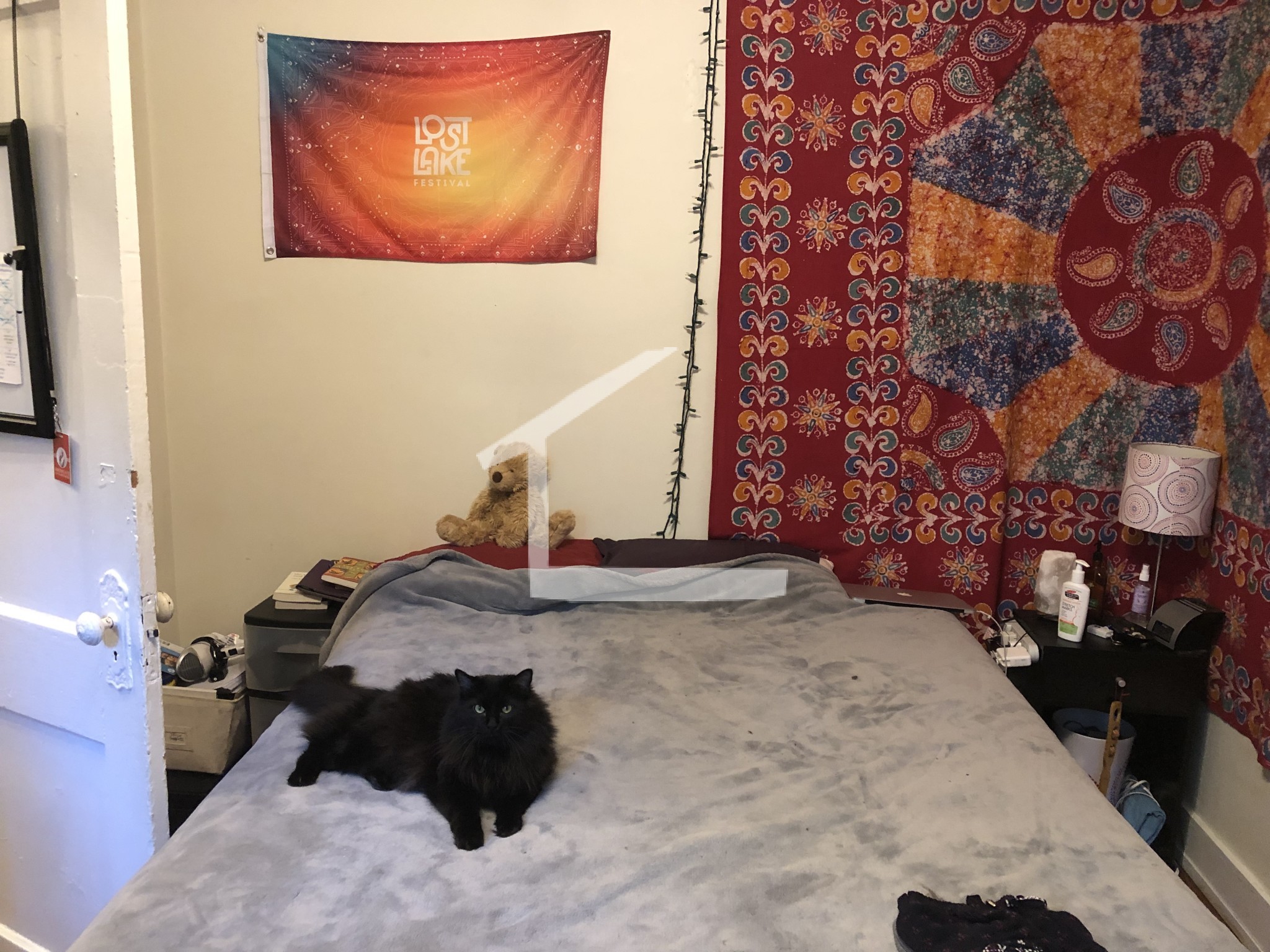 1412 Commonwealth Ave, Brighton