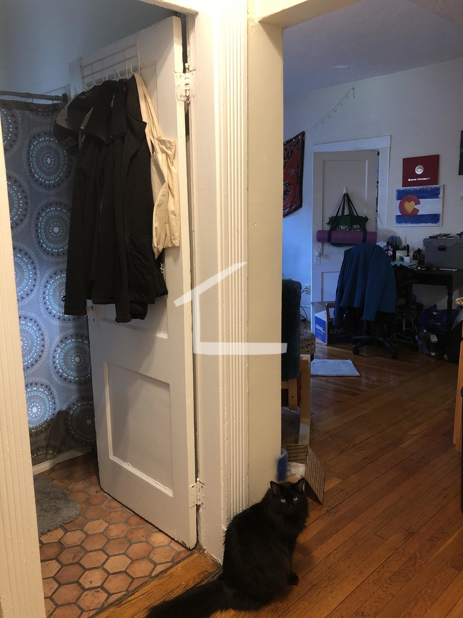 https://ygl-photos.s3.us-west-004.backblazeb2.com/385W5d0c2d552c6b0.jpg