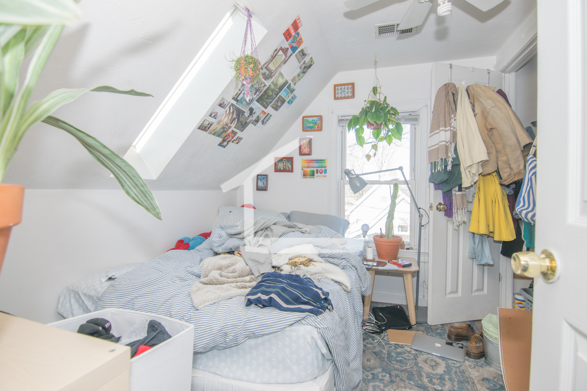 17 Pratt St, Allston