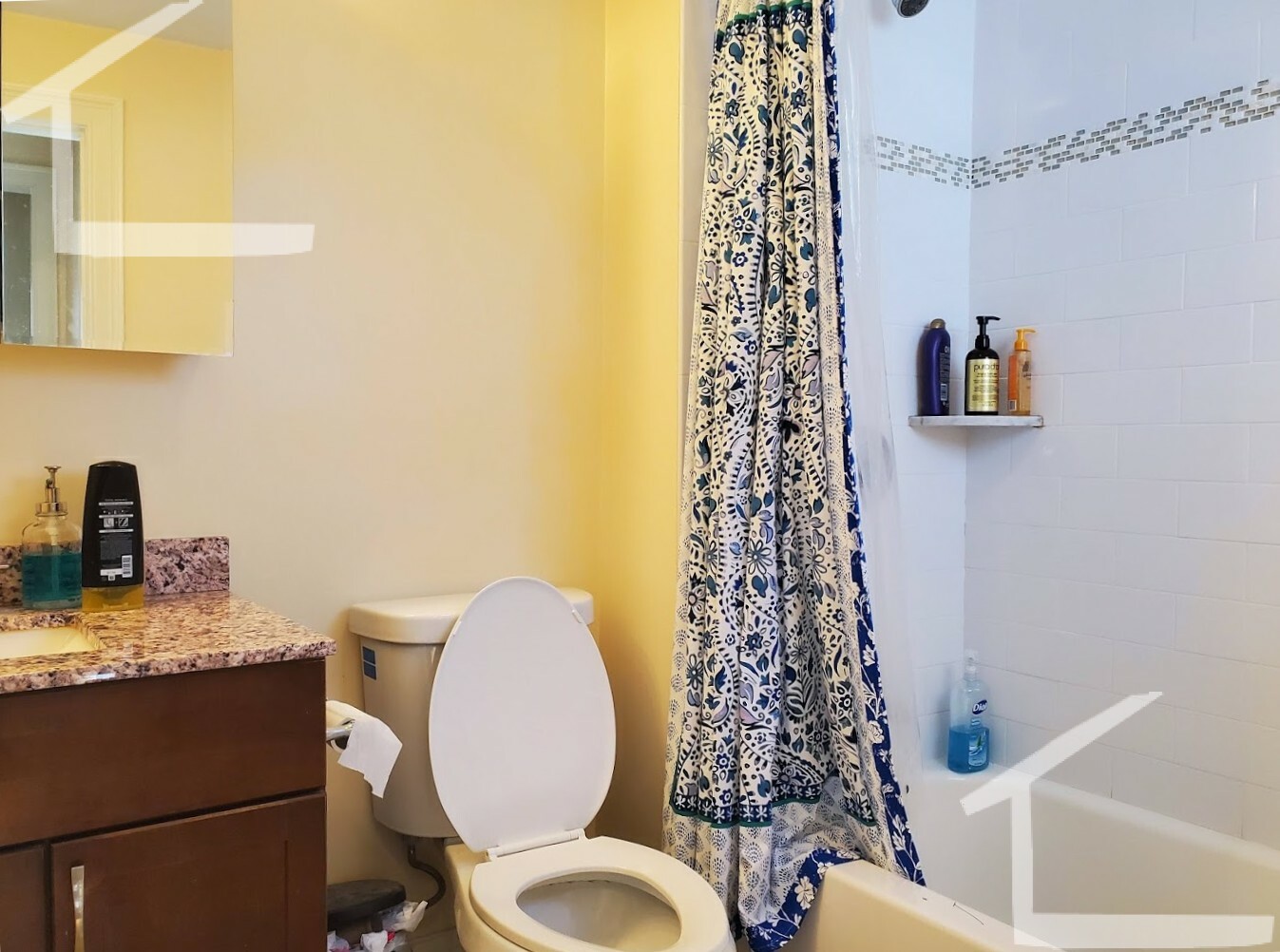 25 Lothrop St, Brighton