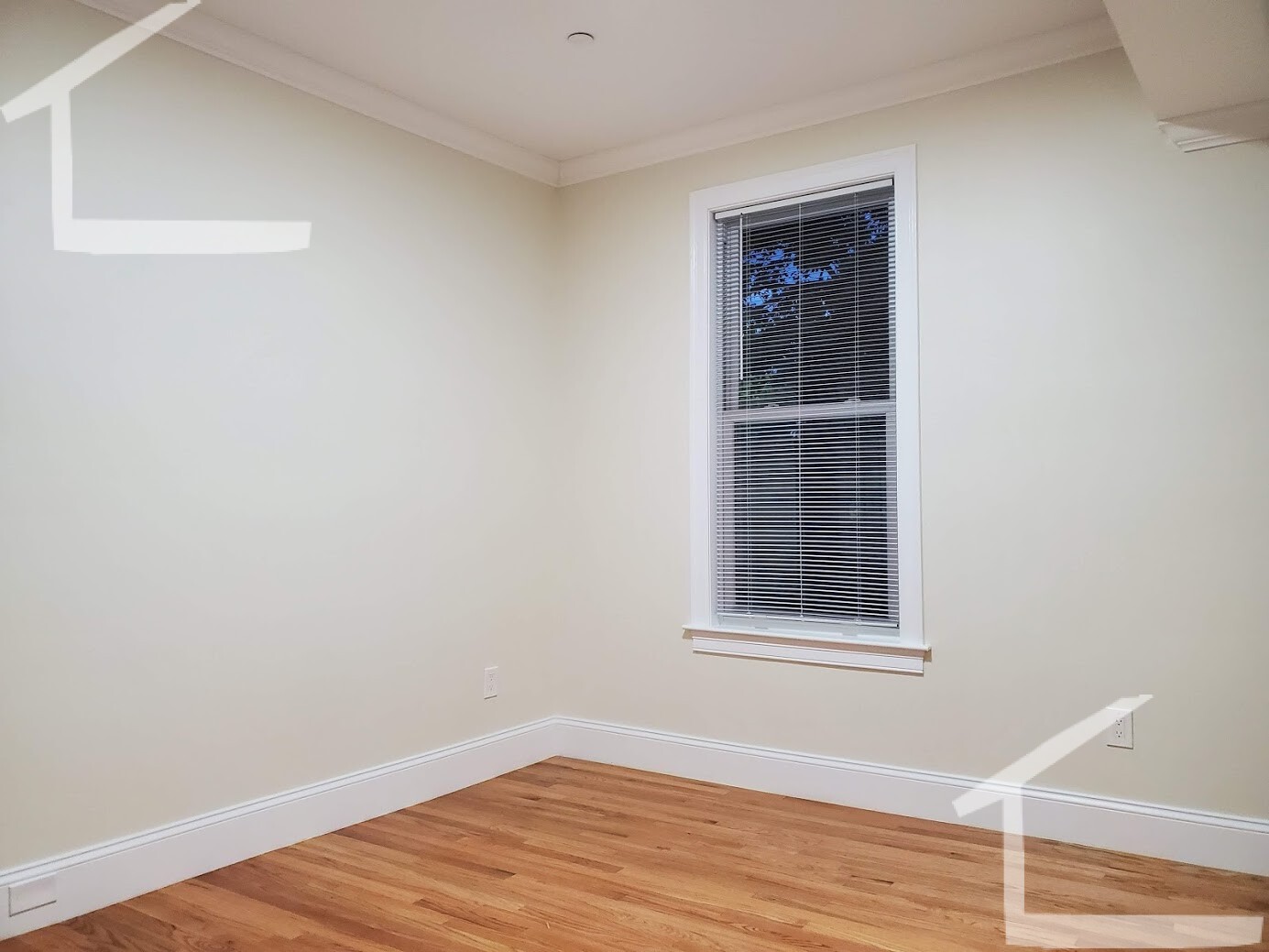 12 Harris St, Coolidge Corner