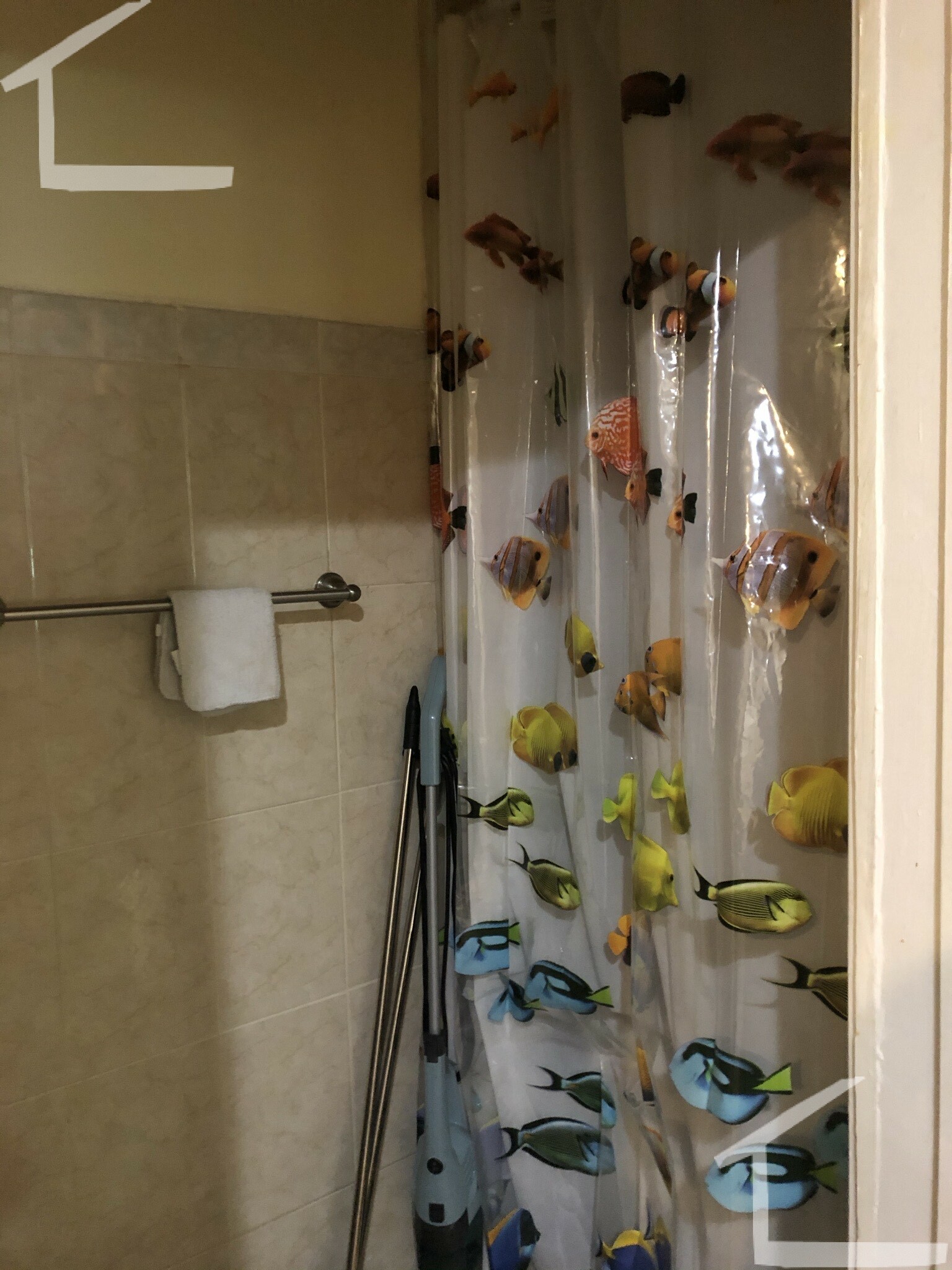 60 Egmont St, Brookline Village