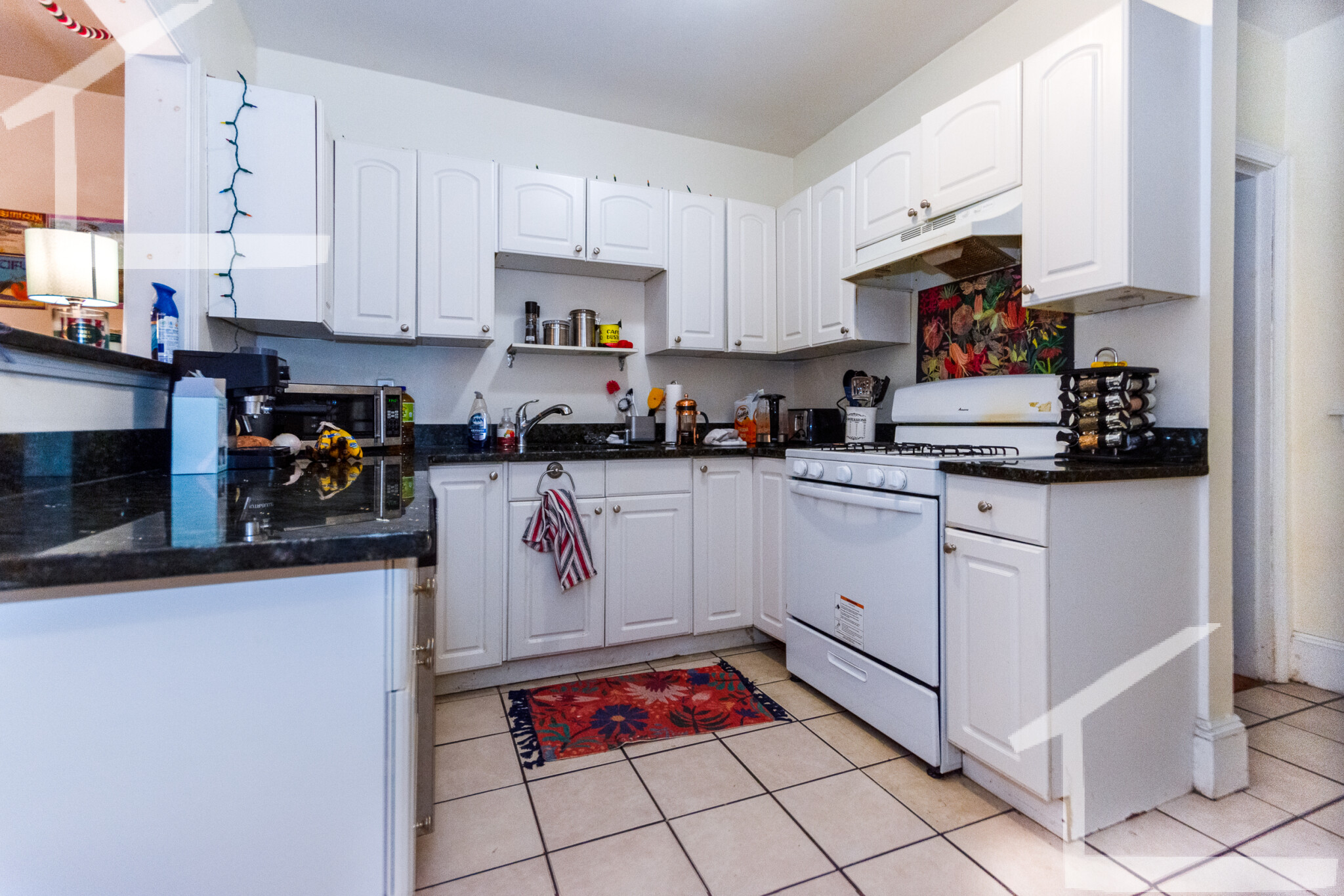 54 Egmont St, Coolidge Corner