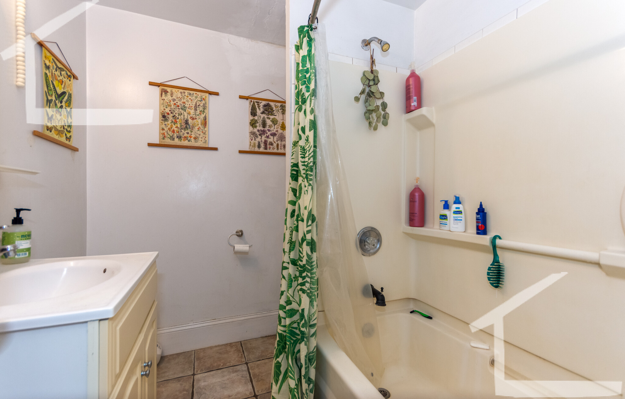 54 Egmont St, Coolidge Corner