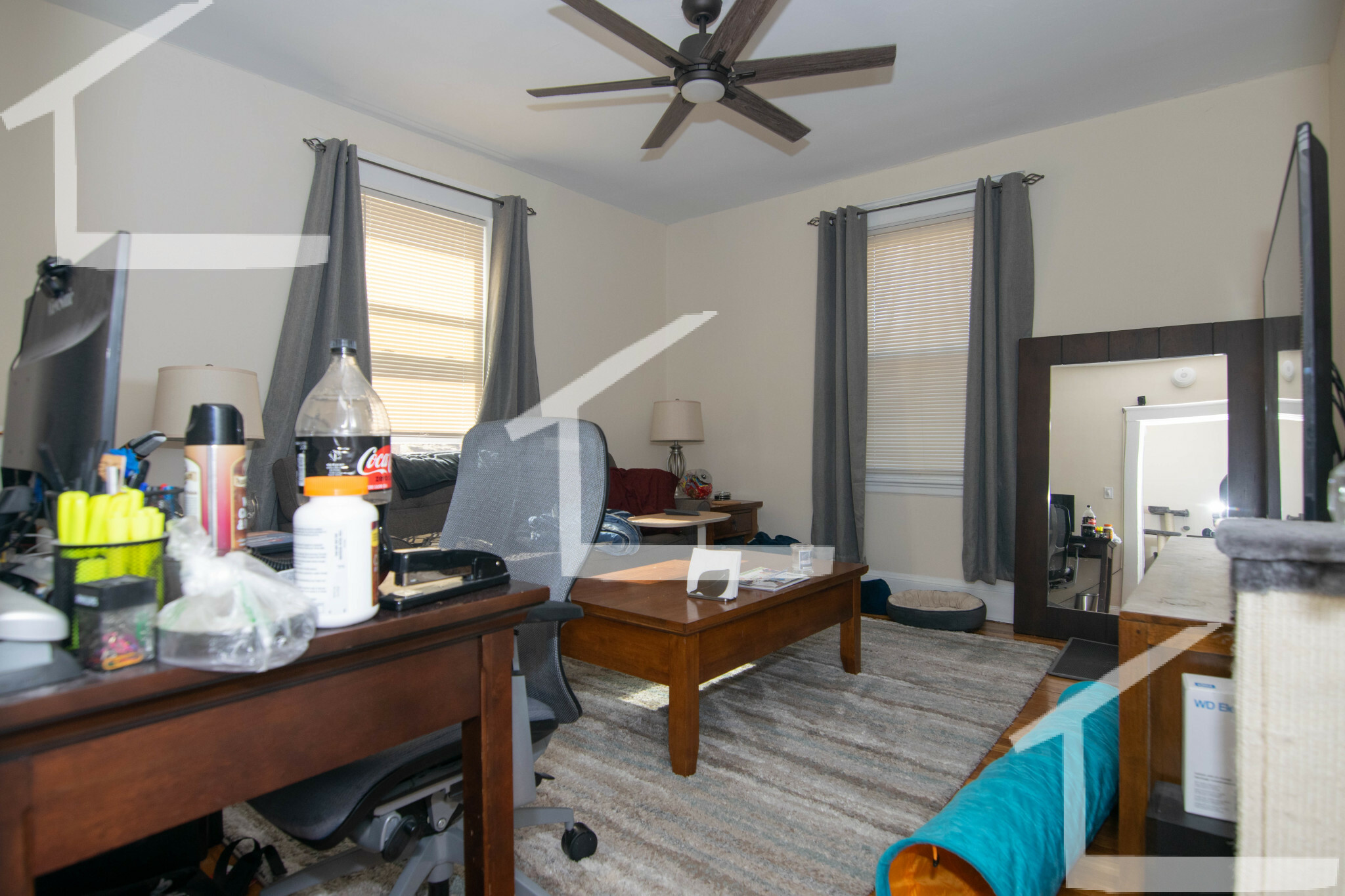 22 Chiswick, Brighton