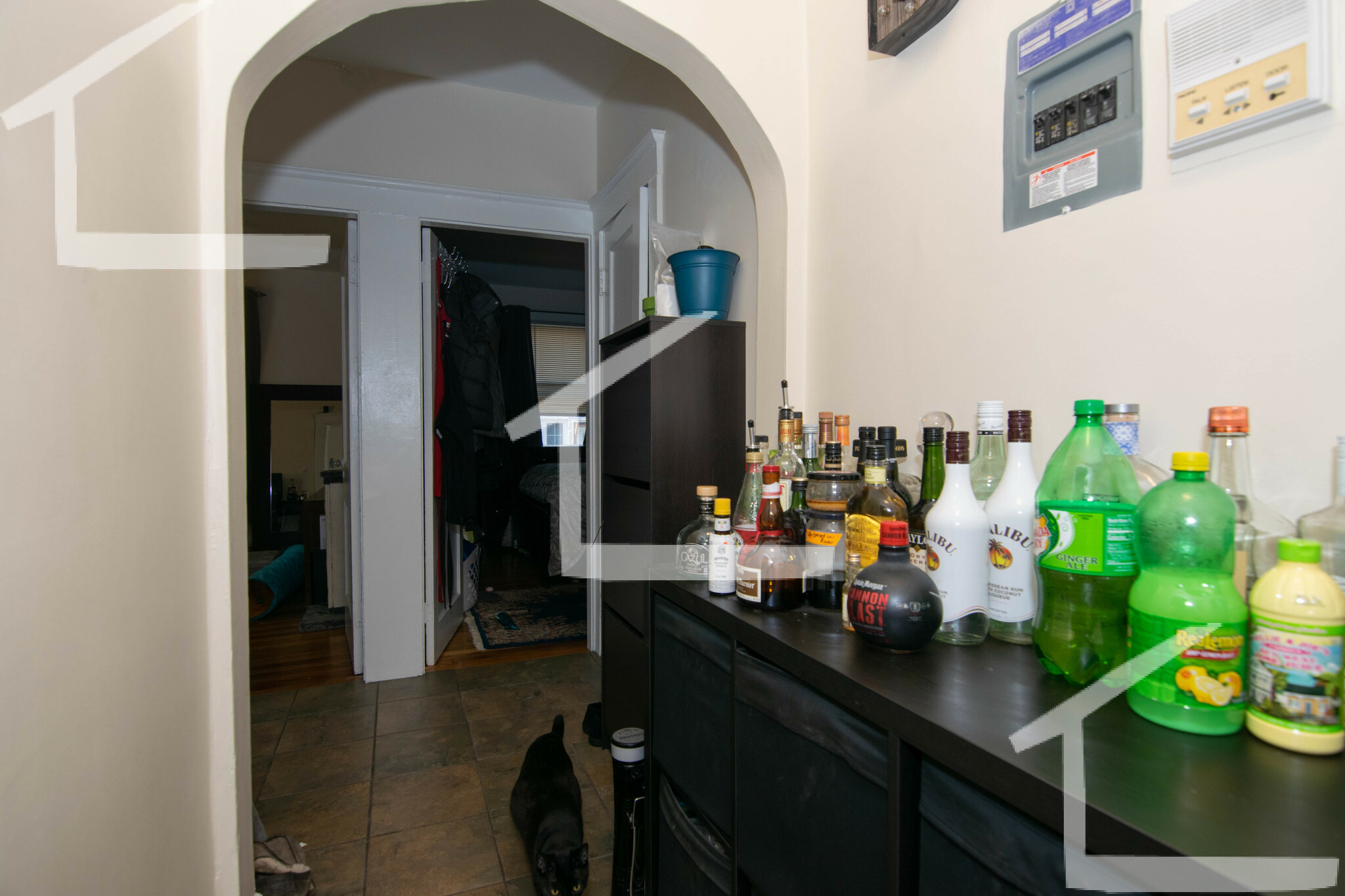 22 Chiswick, Brighton