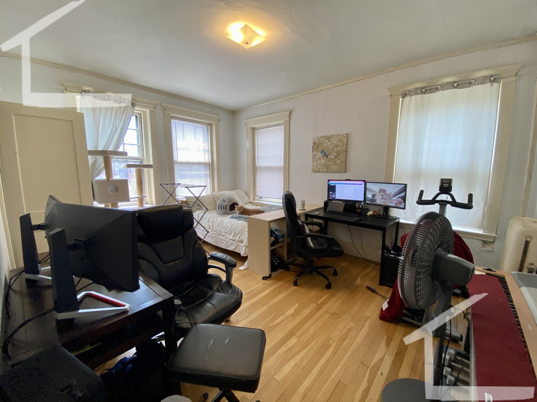 73 Longwood Ave, Coolidge Corner