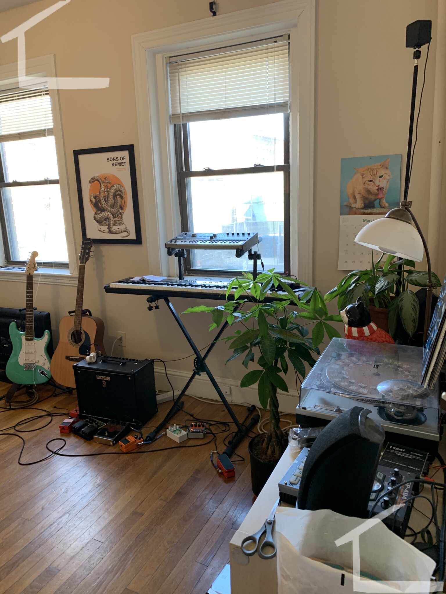 1091 Boylston St, Fenway