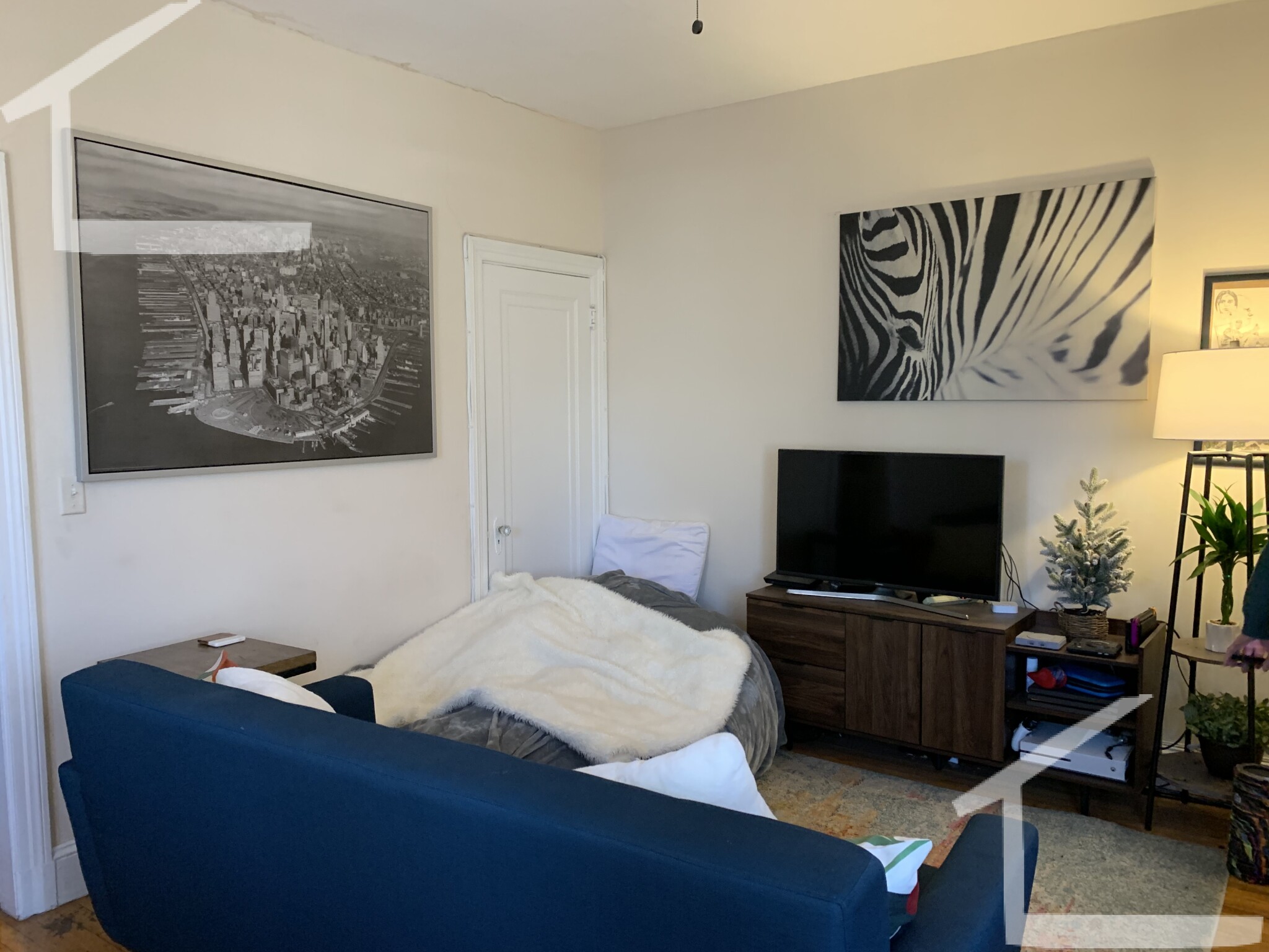 1091 Boylston St, Fenway