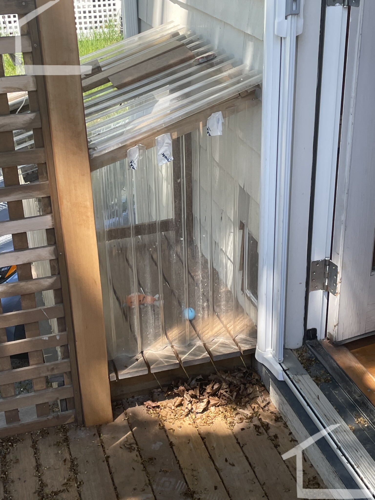 53 Hardwick St, Brighton