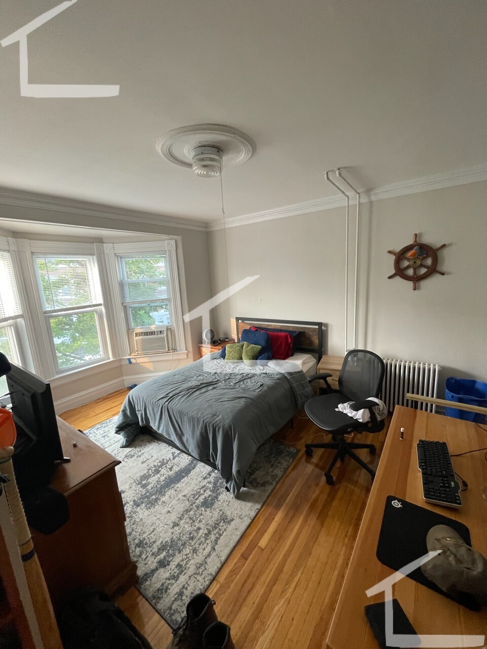 7 Farrington Ave, Brighton