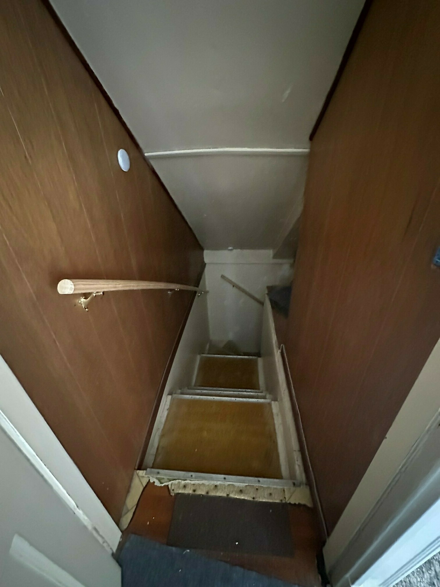 41 Hunnewell Ave, Brighton