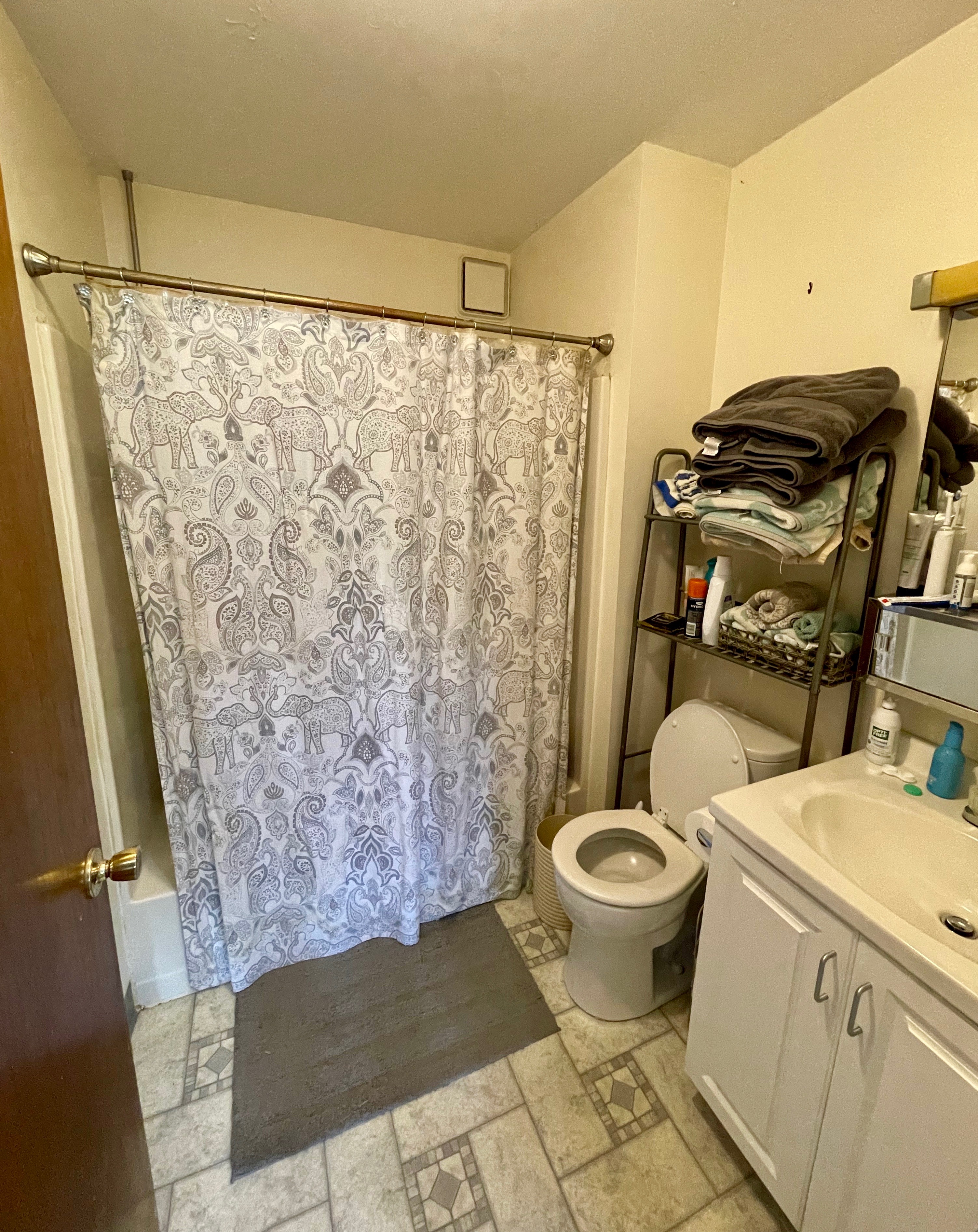 15 Stearns Rd, Coolidge Corner