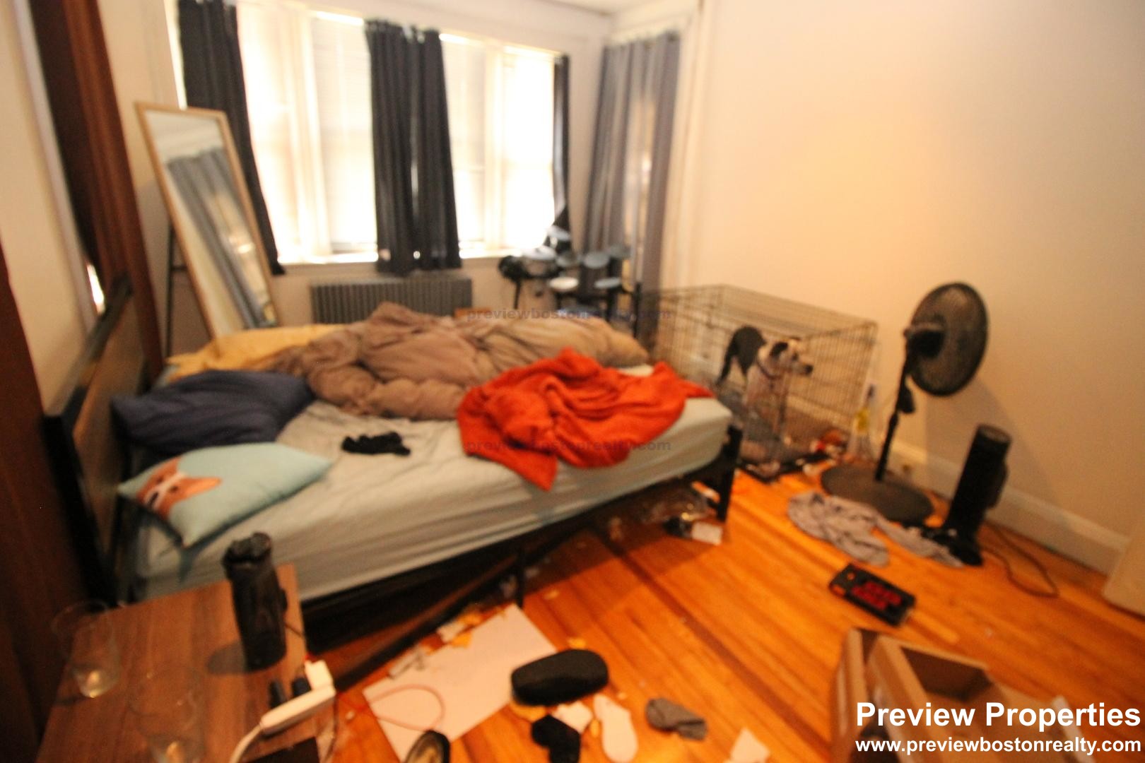 240 Kelton St, Brighton