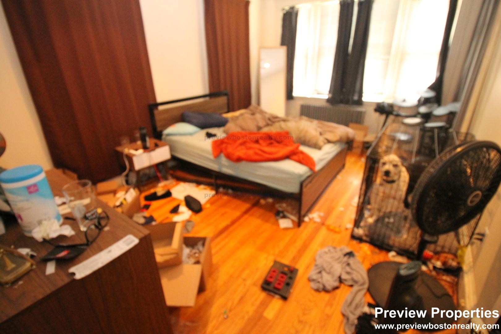 240 Kelton St, Brighton