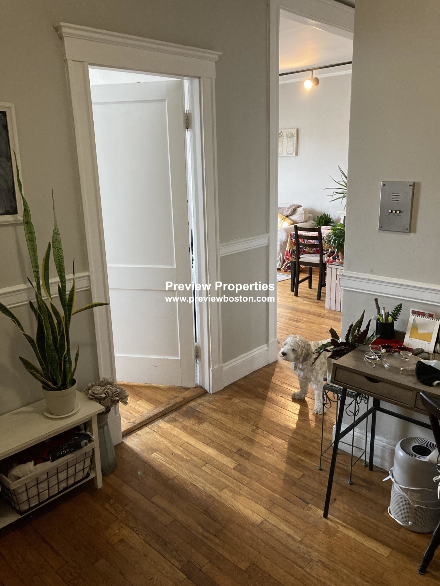 1572 Commonwealth Ave, Brighton