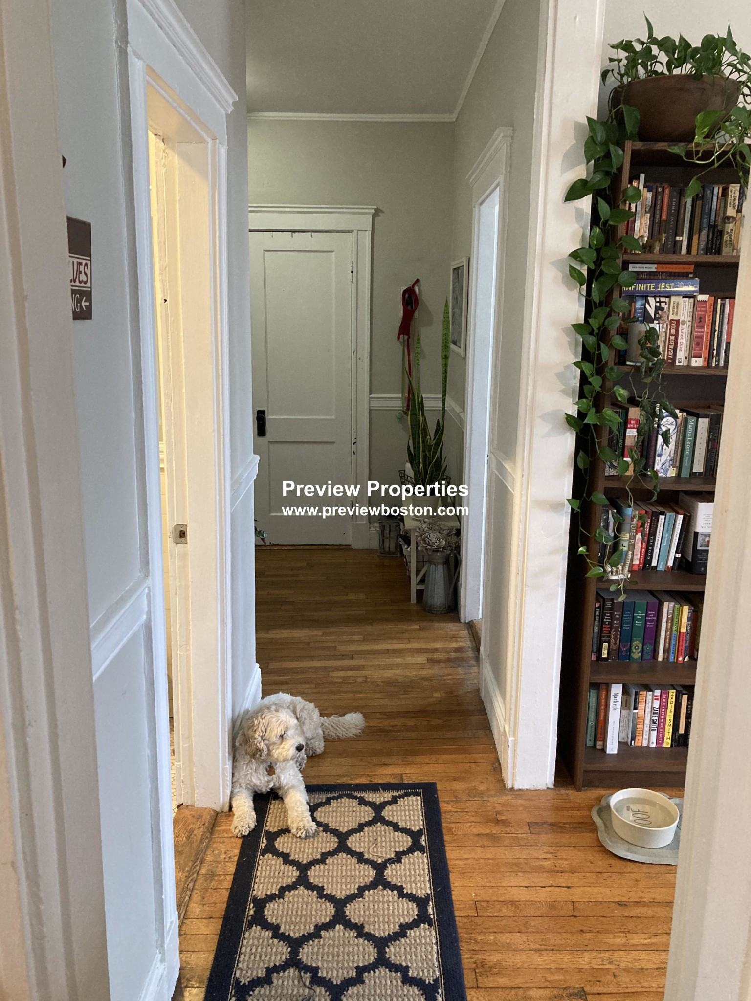 1572 Commonwealth Ave, Brighton