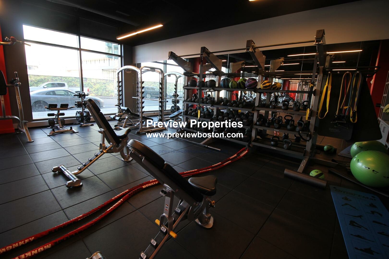 125 Guest St, Brighton