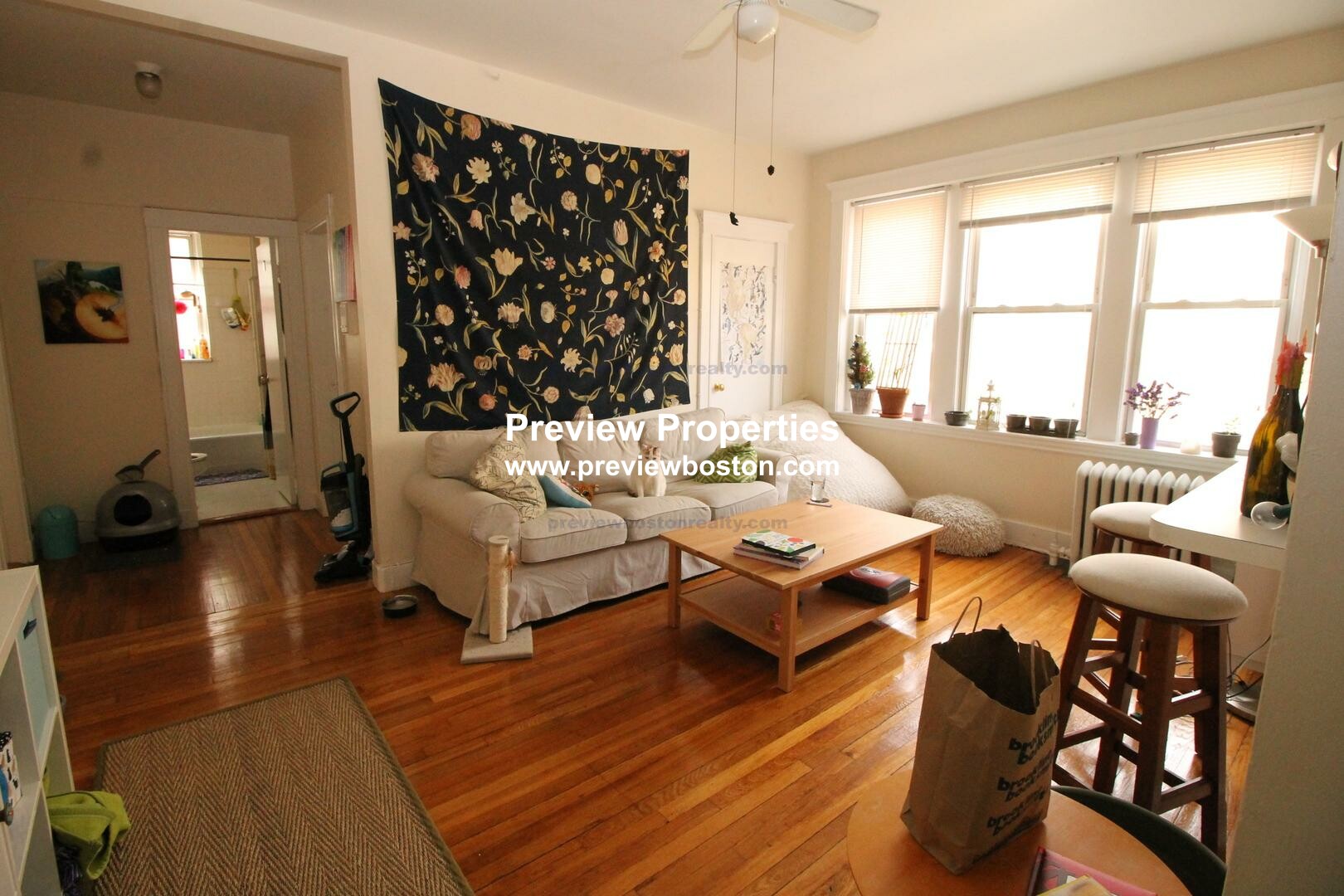 229 Kelton St, Allston