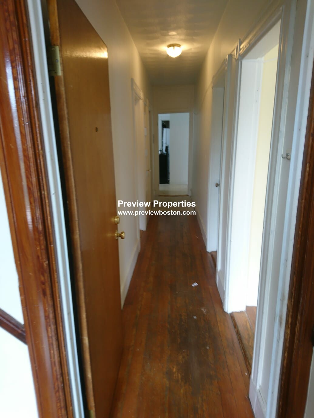 116 Murdock St, Brighton