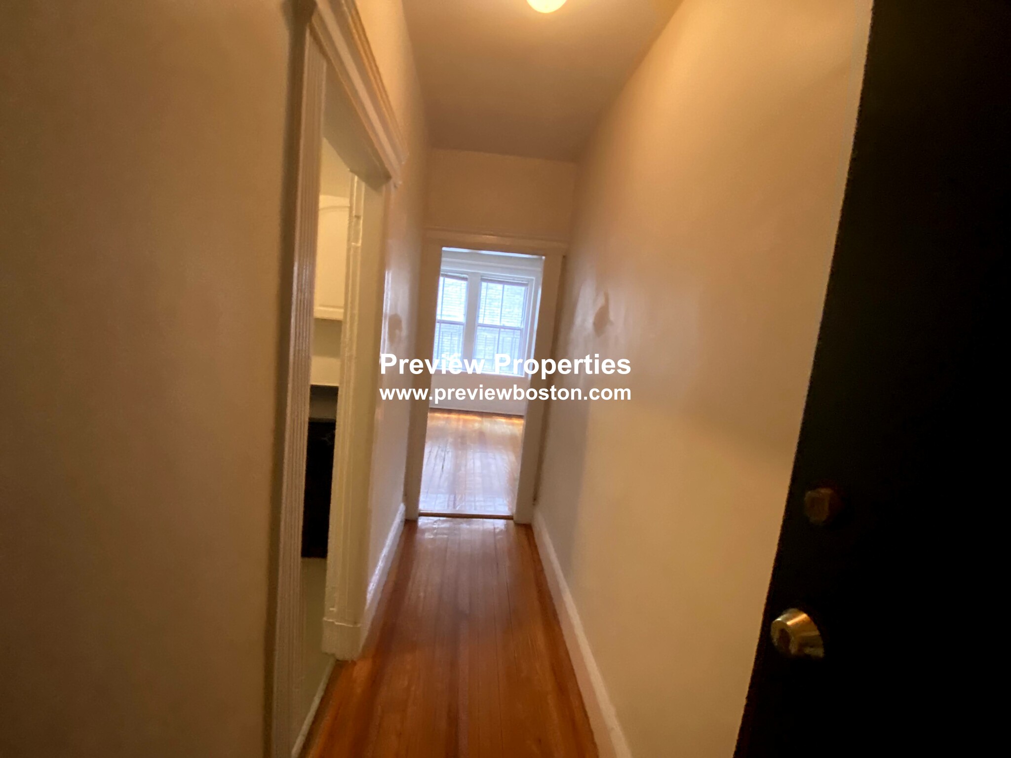 31 Orkney Rd, Brighton