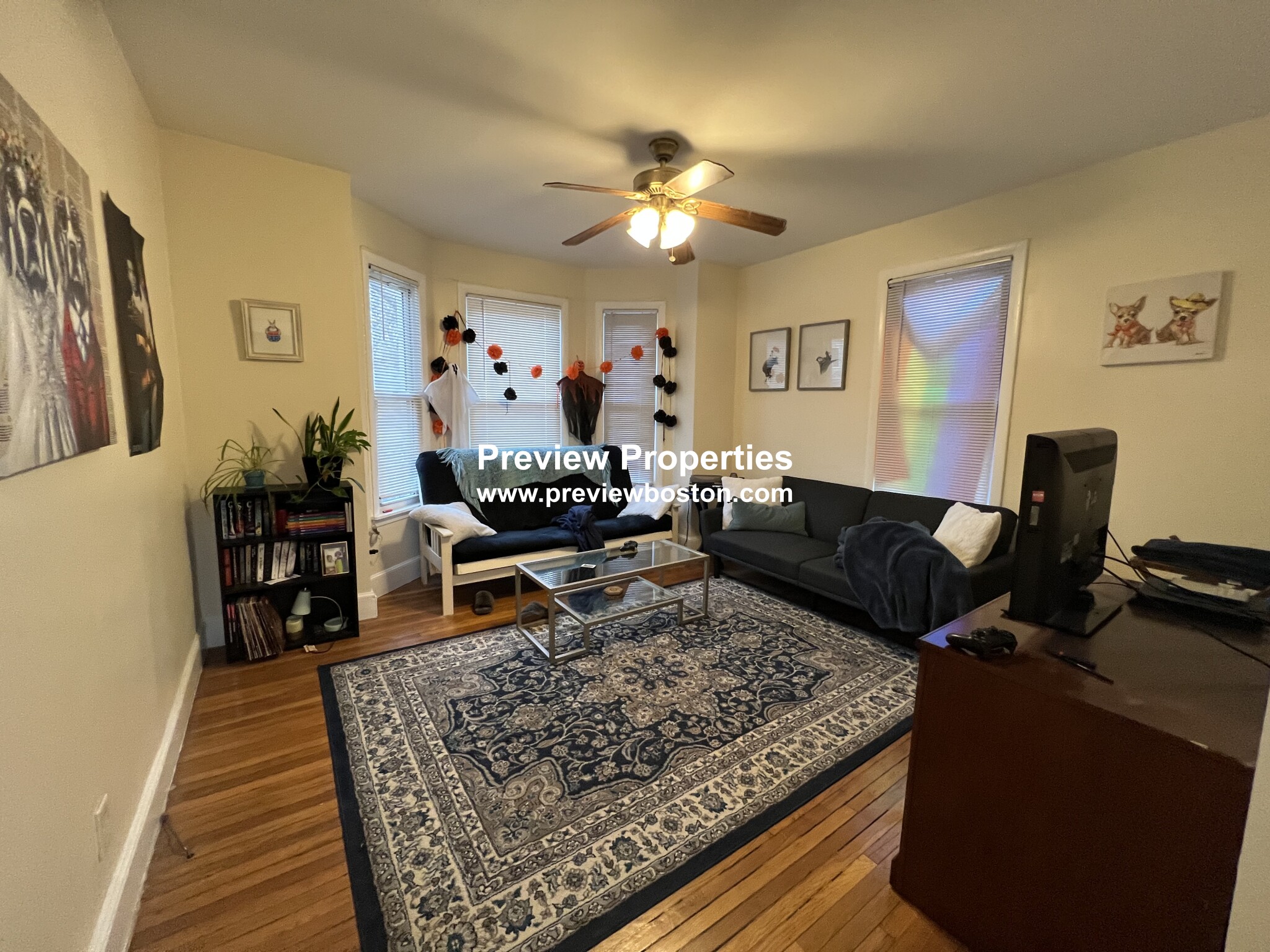 215 Freeman St, Coolidge Corner