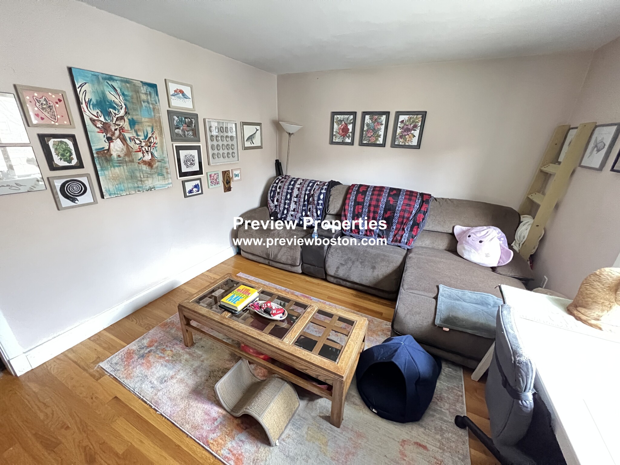 10 Beechcroft St, Brighton