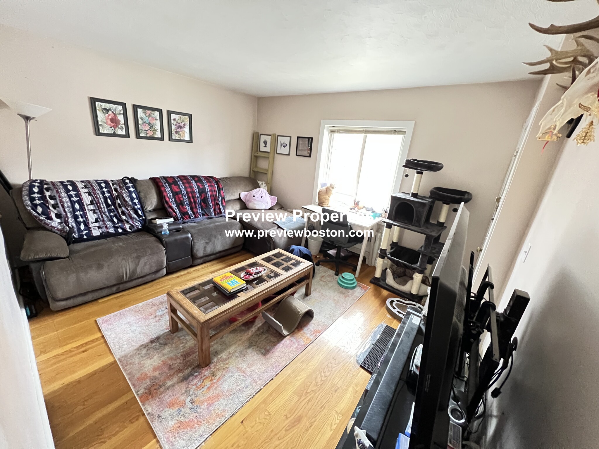 10 Beechcroft St, Brighton