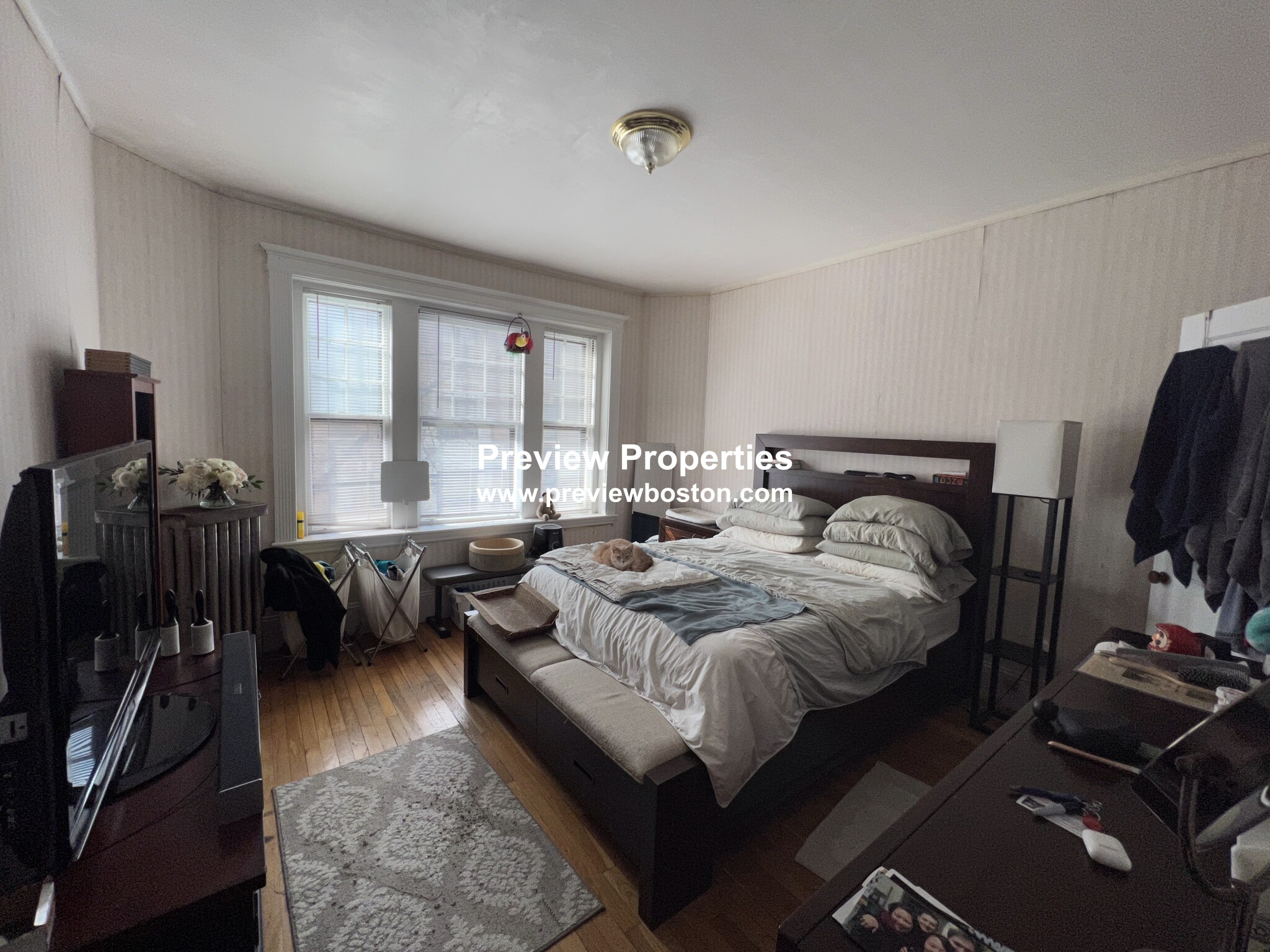 73 Longwood Ave, Longwood