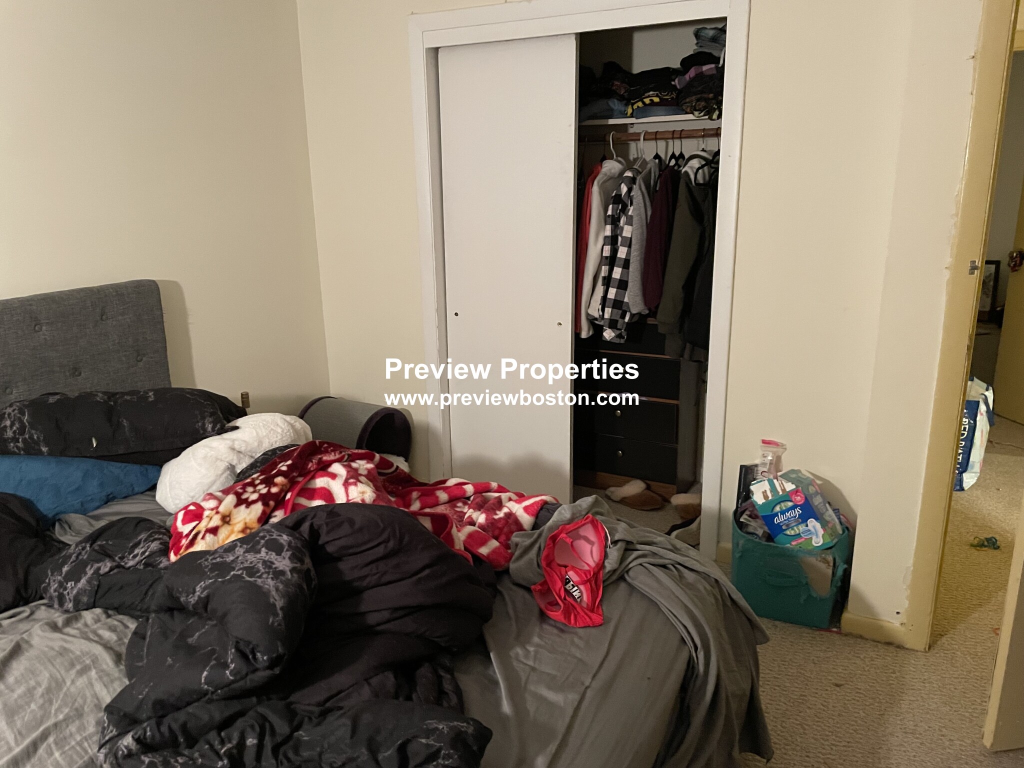 66 Bryon Rd, Chestnut Hill