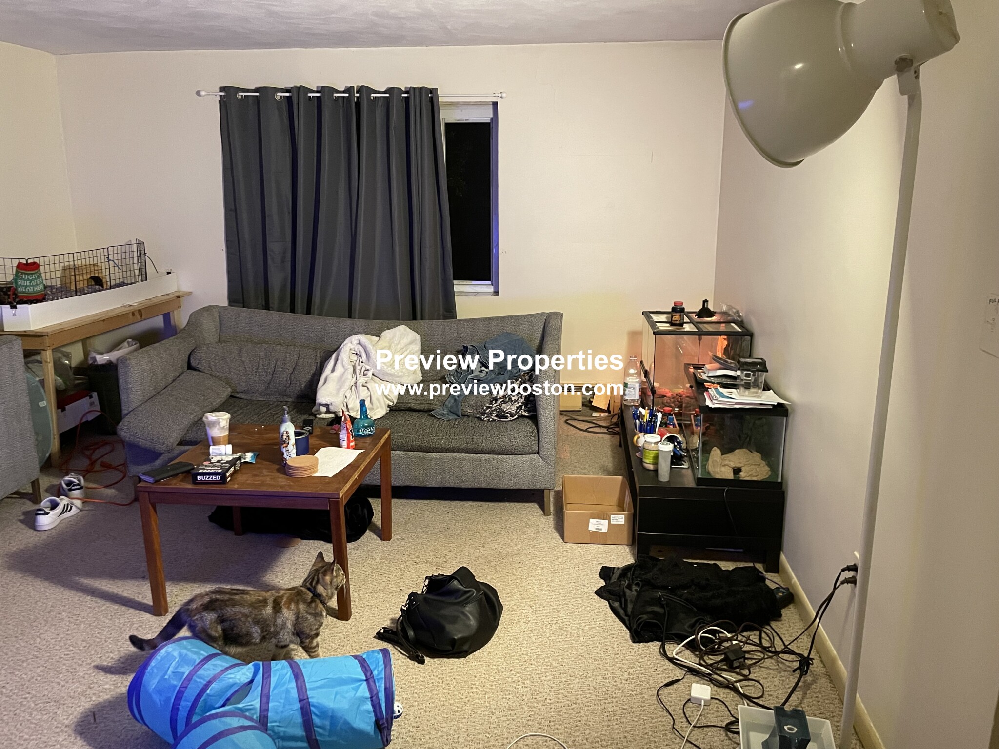 66 Bryon Rd, Chestnut Hill