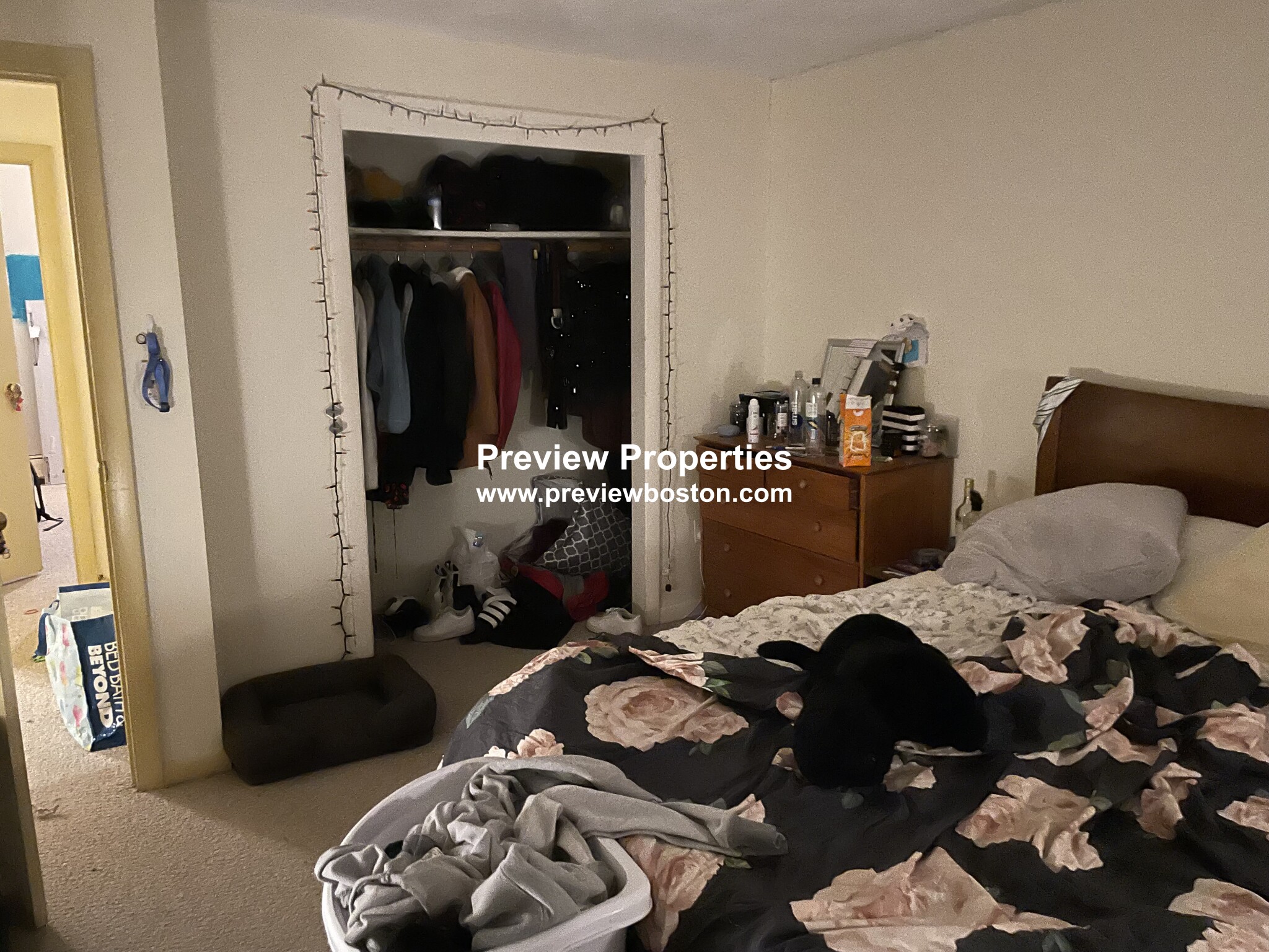 66 Bryon Rd, Chestnut Hill