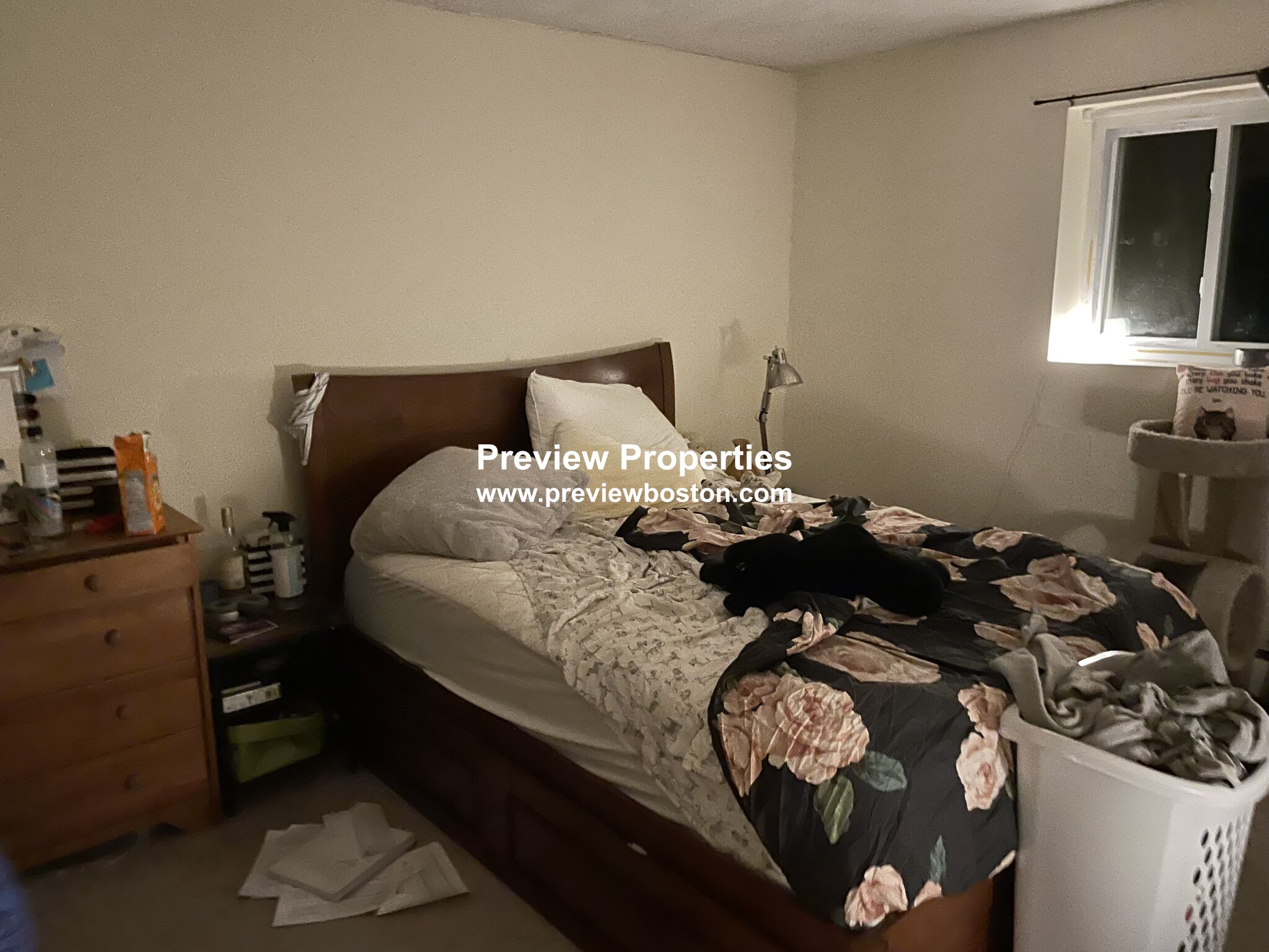 66 Bryon Rd, Chestnut Hill