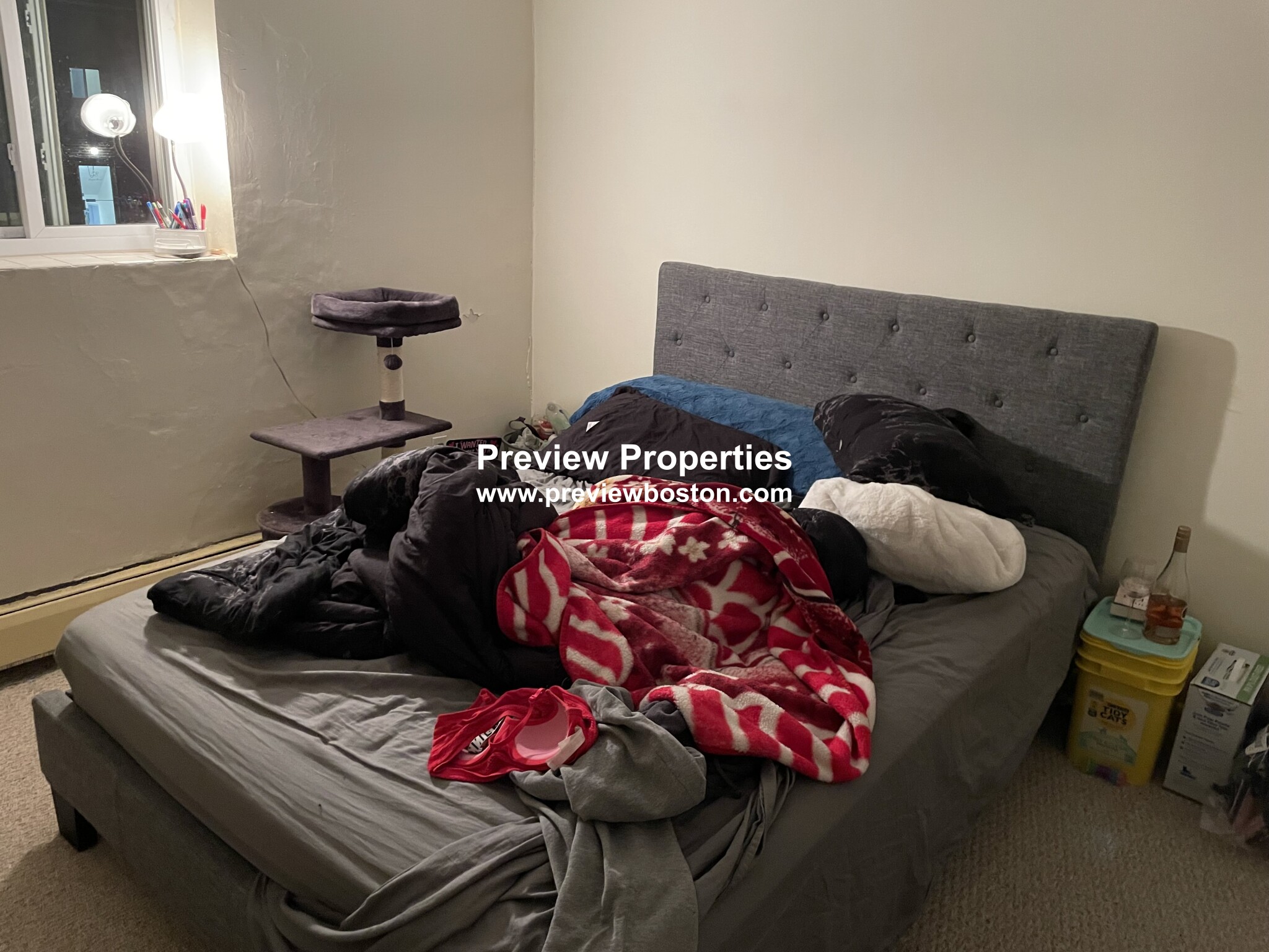 66 Bryon Rd, Chestnut Hill