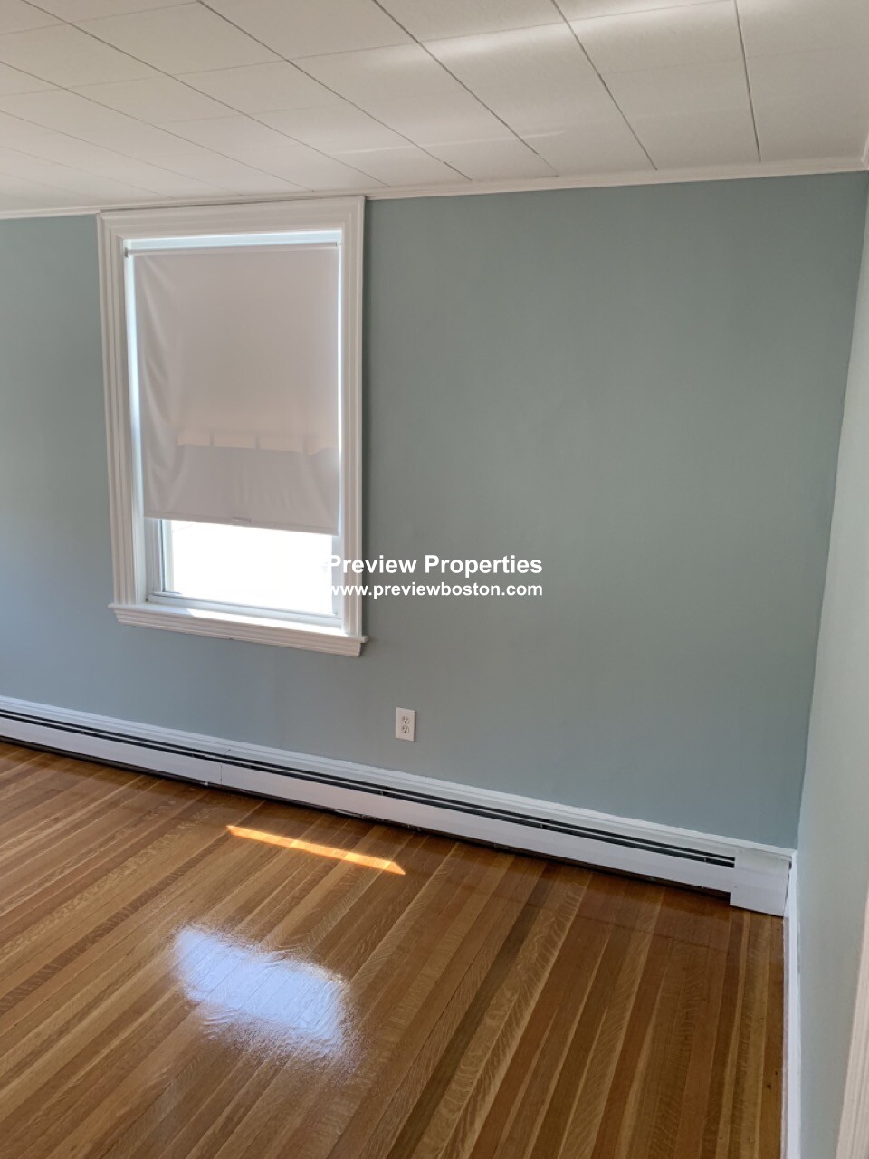 41 Newcastle Rd, Brighton