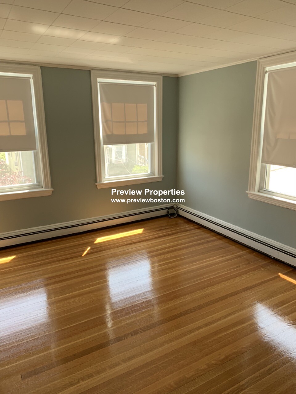 41 Newcastle Rd, Brighton