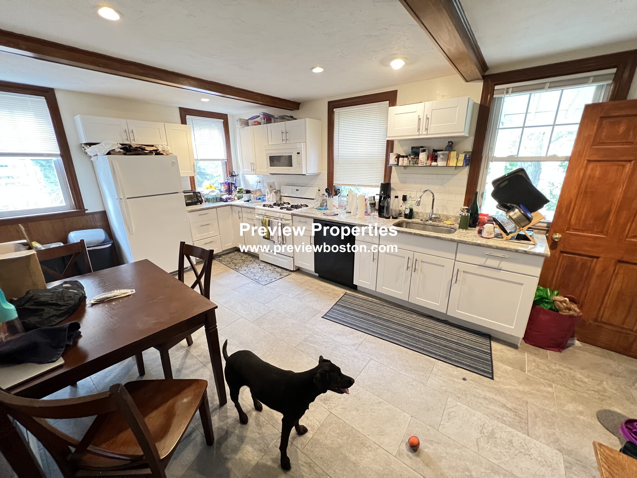 41 Newcastle Rd, Brighton