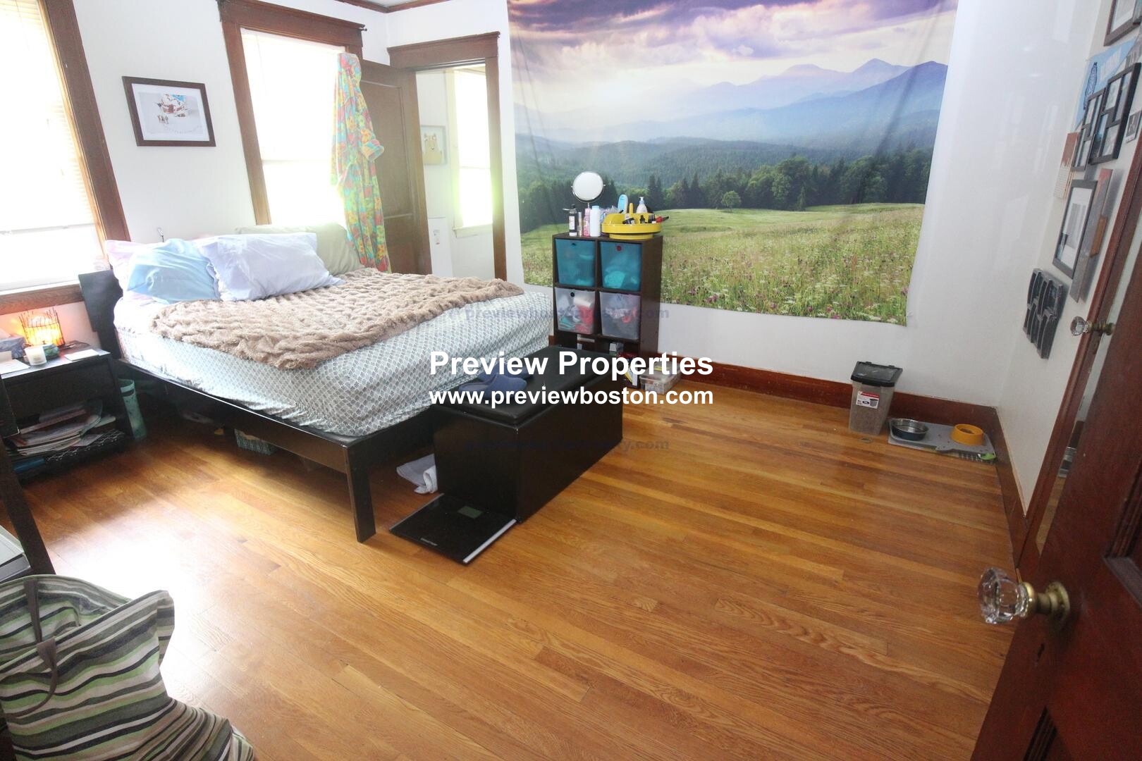 17 Cufflin St, Brighton