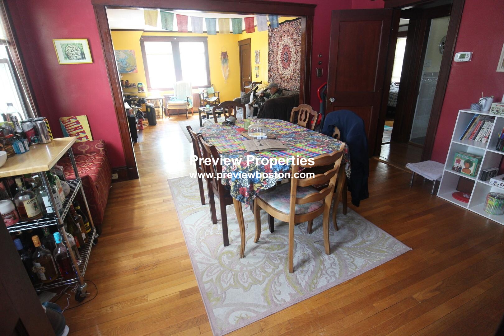 17 Cufflin St, Brighton