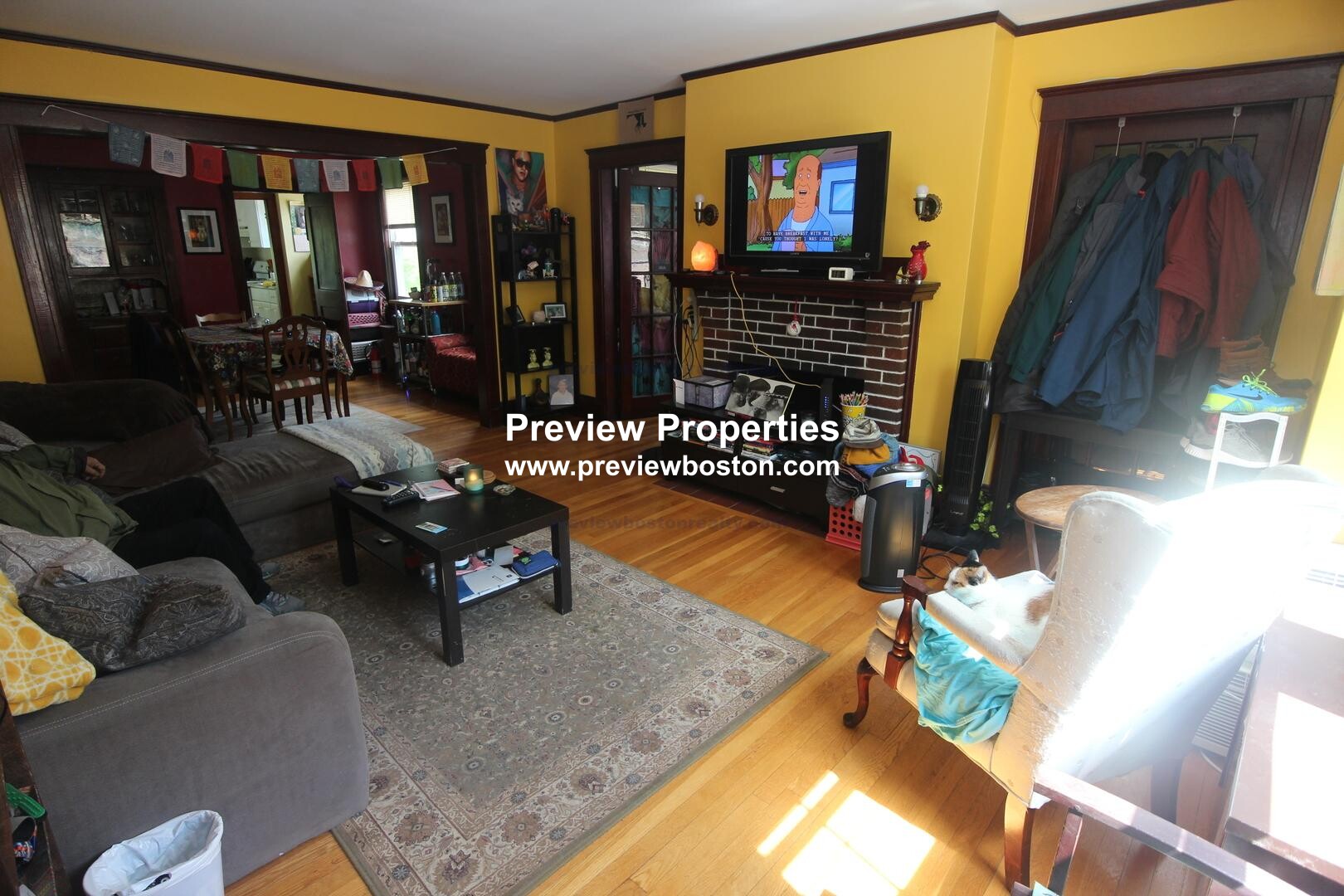 17 Cufflin St, Brighton