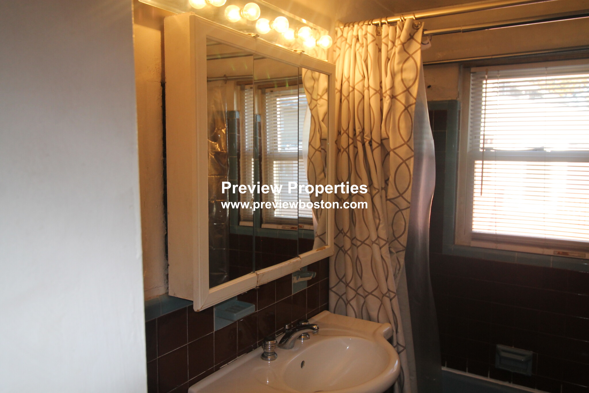 14 Caltha Rd, Chestnut Hill