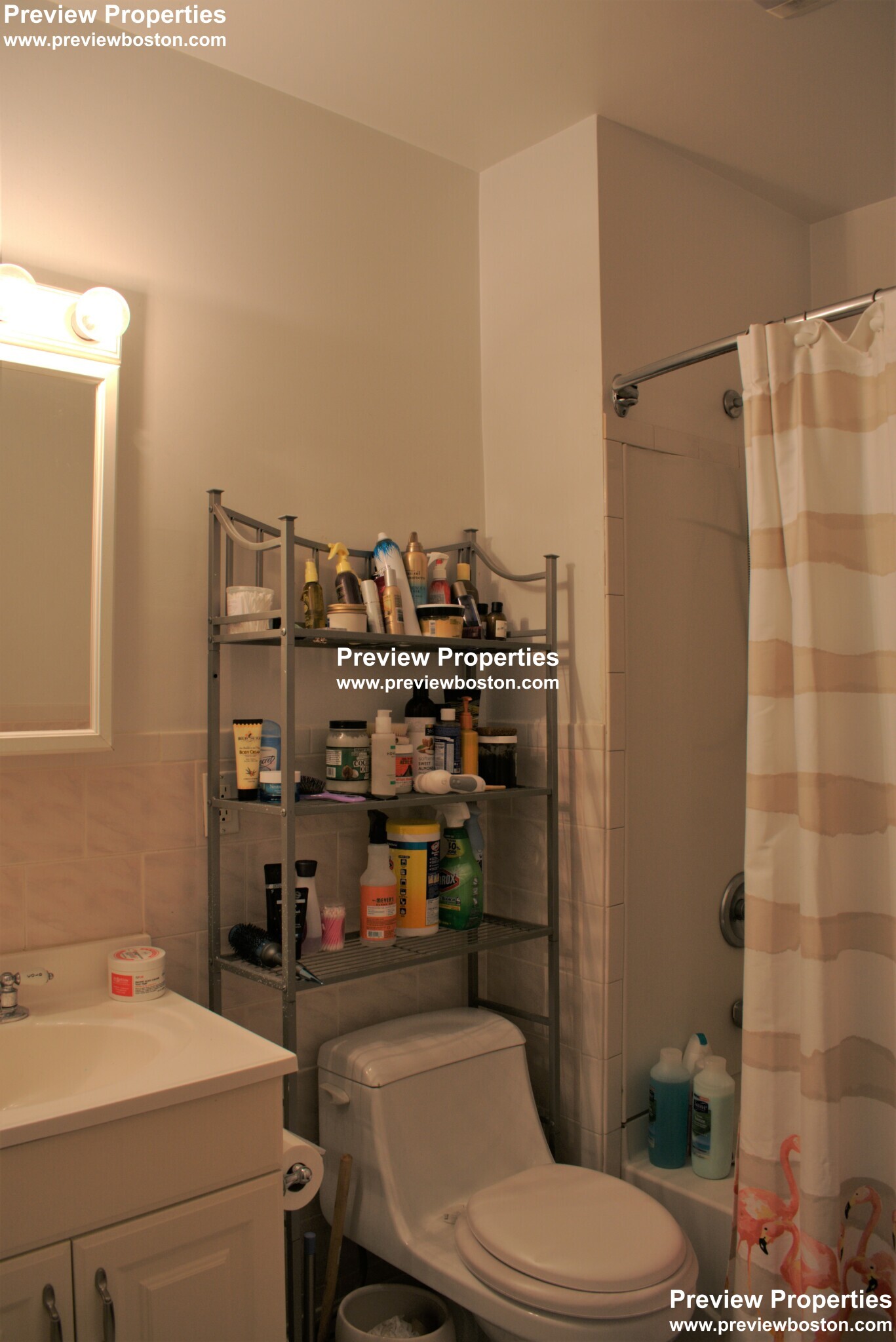 62 Egmont St, Coolidge Corner