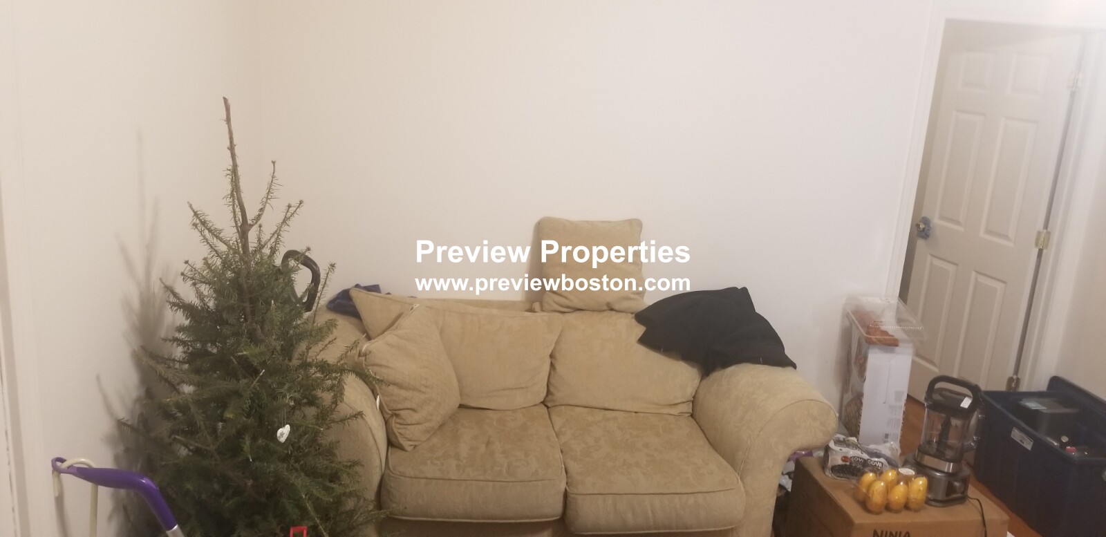 17 Cummings Rd, Brighton