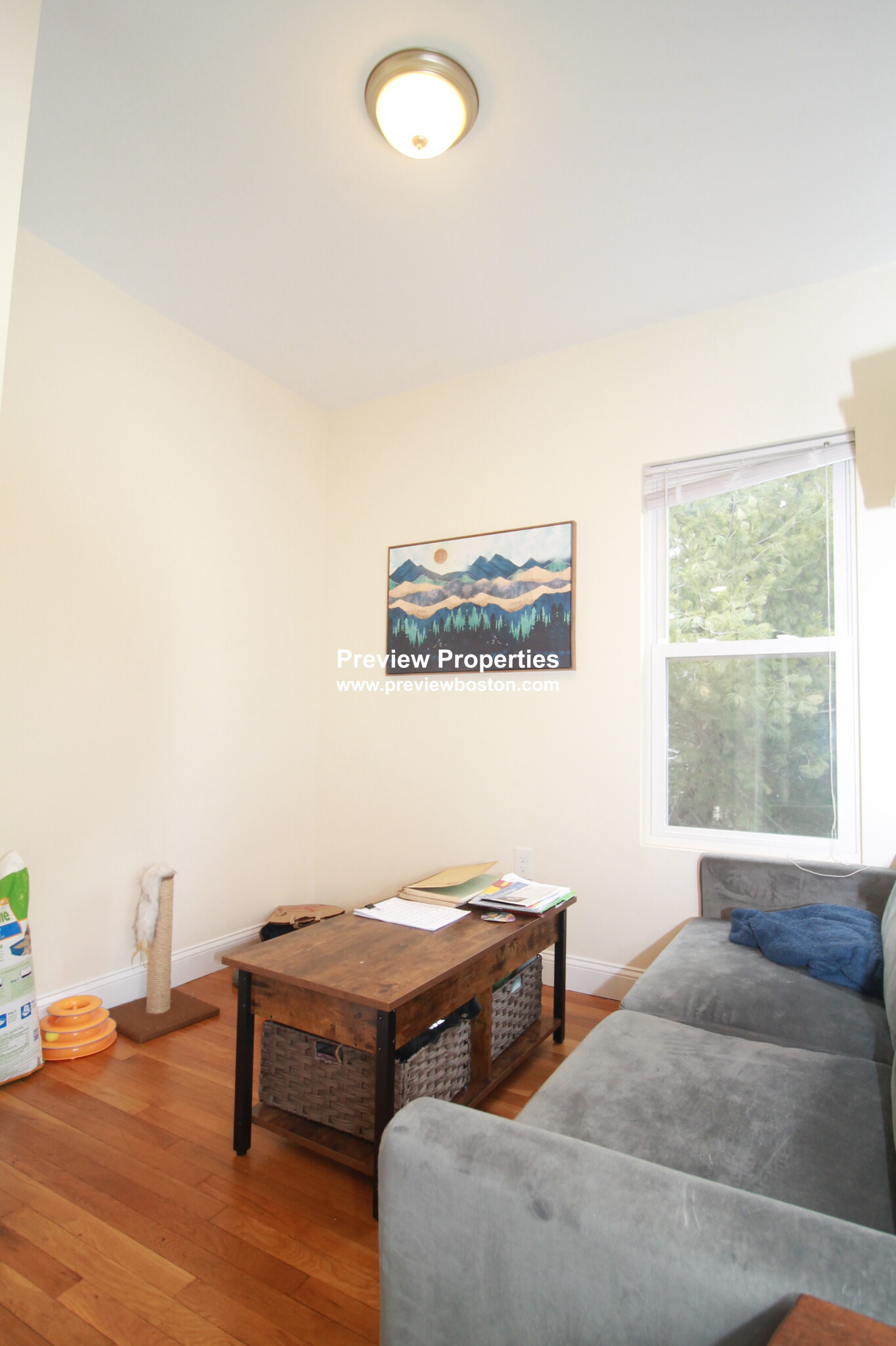 28 Cherry St, Spring Hill