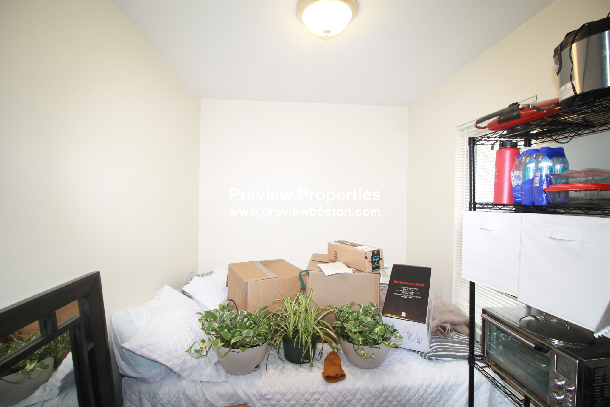 21 Weitz St, Allston