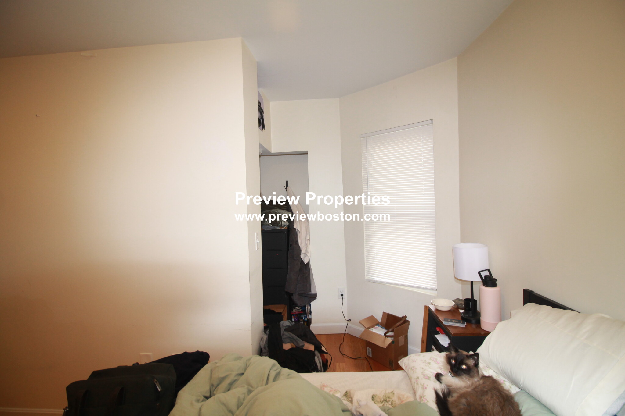 21 Weitz St, Allston