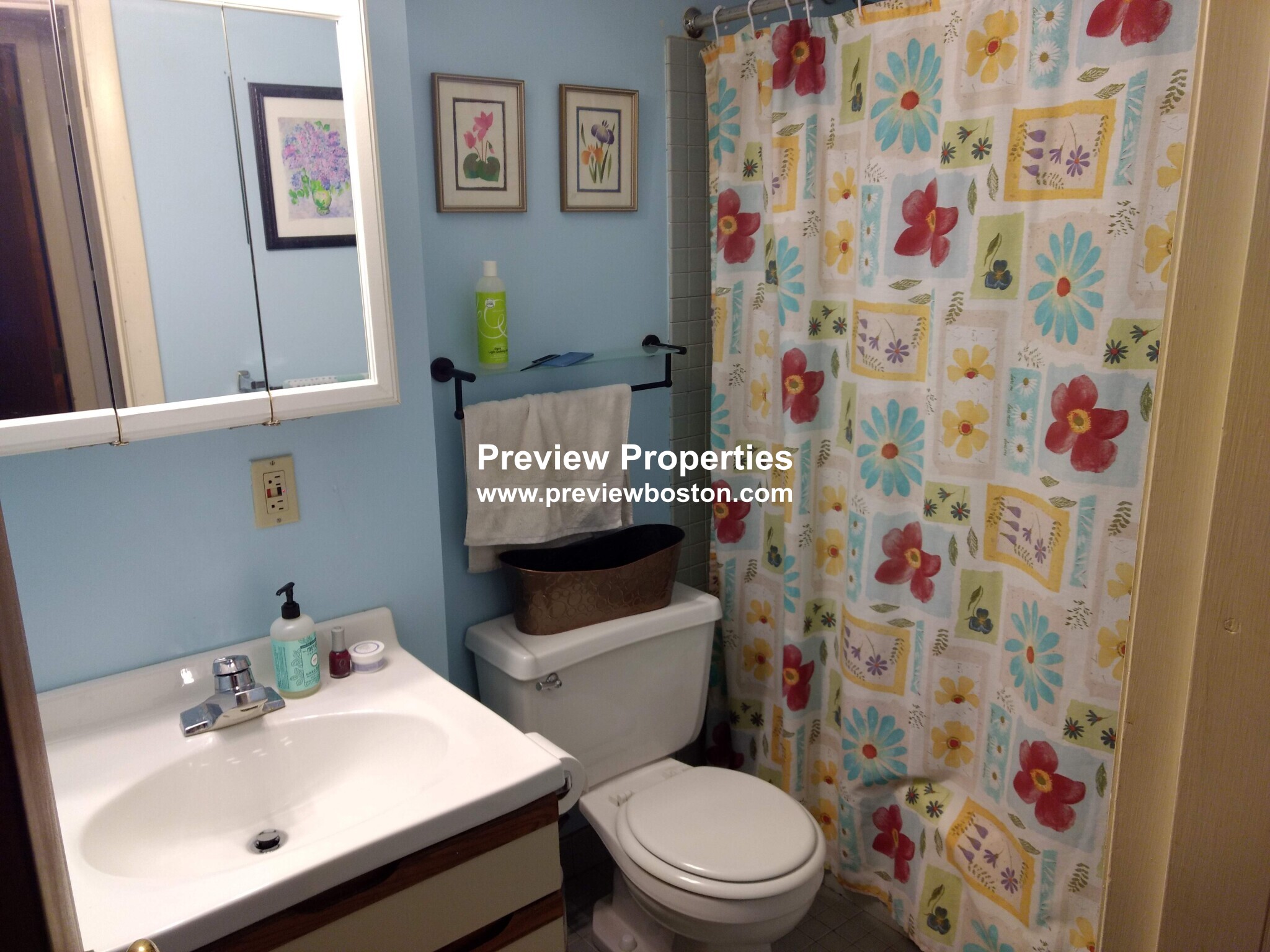 11 Stearns Rd, Brookline Hills